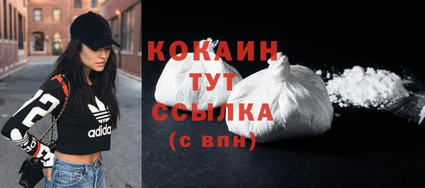 ПСИЛОЦИБИНОВЫЕ ГРИБЫ Апатиты