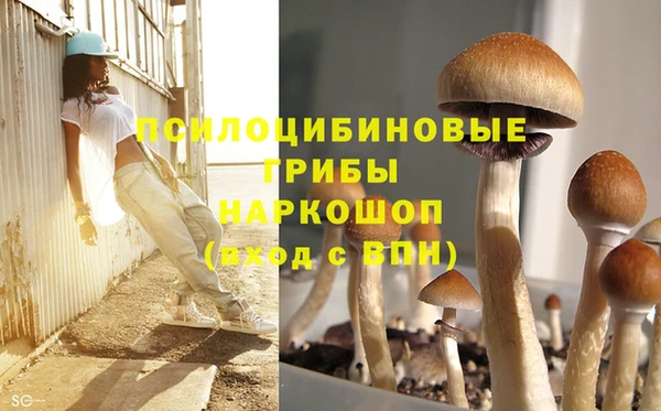 МДМА Михайловка