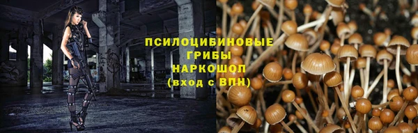 СК Аша