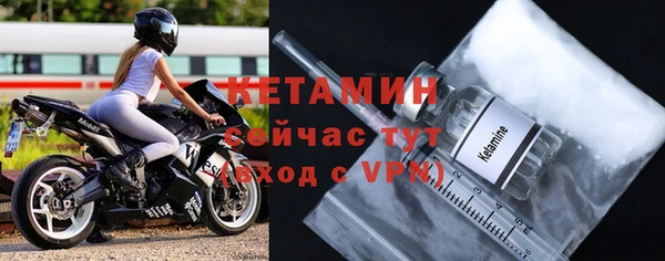 сатива Ахтубинск